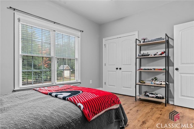 1750 Ryland Hills Dr, Watkinsville, GA 30677 - bedroom with a closet, multiple windows, and light wood-style floors
