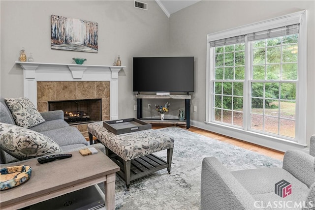 1750 Ryland Hills Dr, Watkinsville, GA 30677 - living area featuring a tile fireplace, visible vents, wood finished floors, and lofted ceiling