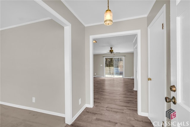 hallway with wood-type flooring and ornamental molding