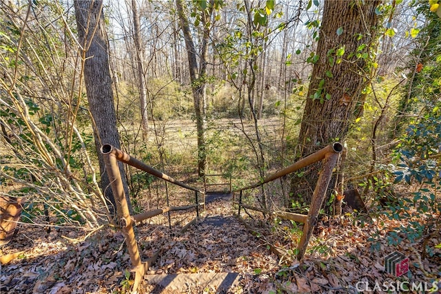 view of local wilderness