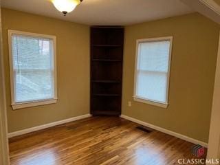 interior space featuring multiple windows and wood-type flooring