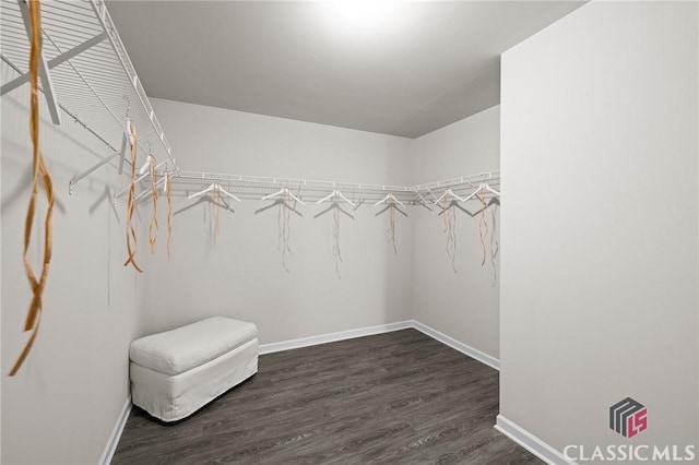 spacious closet with dark wood-style flooring