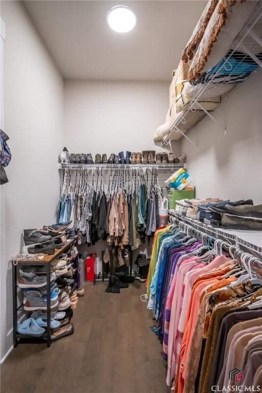 spacious closet with wood-type flooring