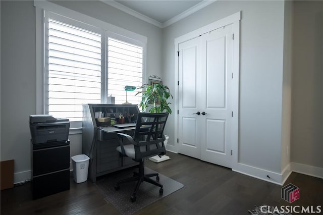 office featuring crown molding and dark hardwood / wood-style floors