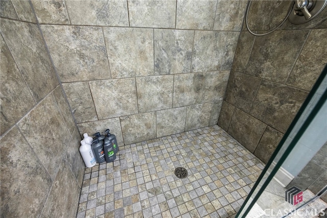 interior details with tiled shower