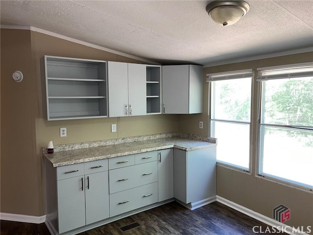 kitchen featuring vaulted ceiling, dark hardwood / wood-style floors, light stone counters, and a textured ceiling