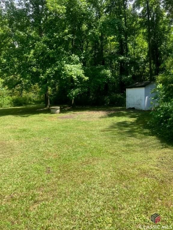 view of yard with a storage unit