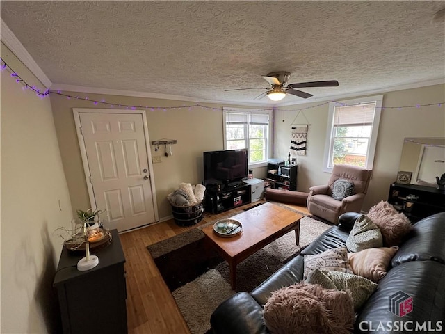 living room with hardwood / wood-style flooring, ceiling fan, ornamental molding, and a textured ceiling