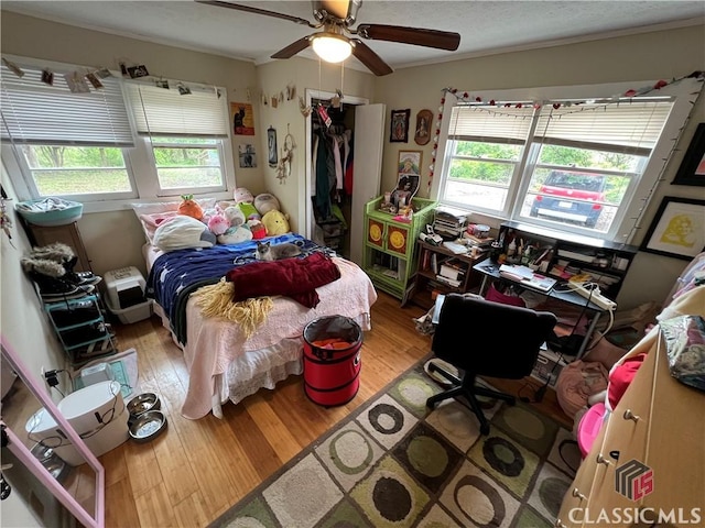 bedroom with ceiling fan, wood-type flooring, and a closet