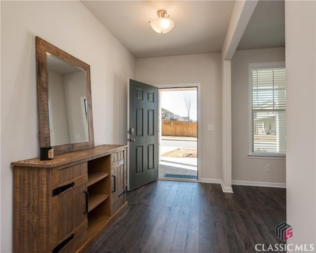 entrance foyer with dark wood-type flooring