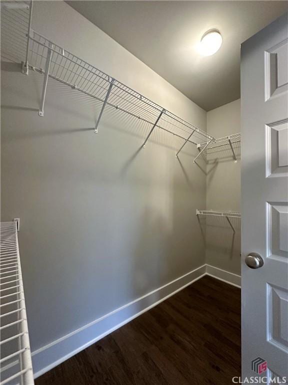 walk in closet with dark hardwood / wood-style flooring