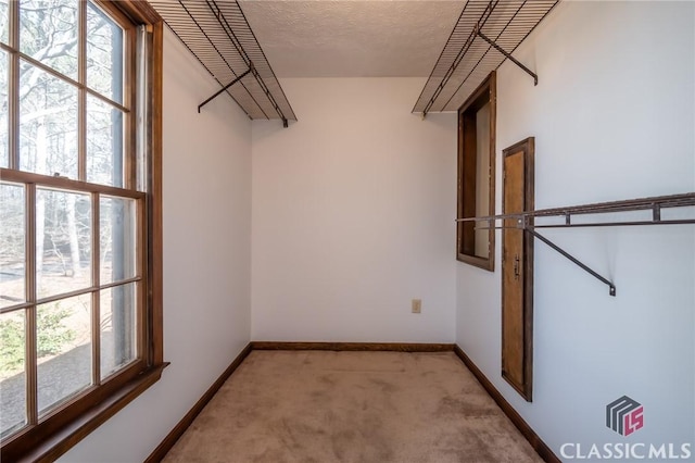 spacious closet with light colored carpet