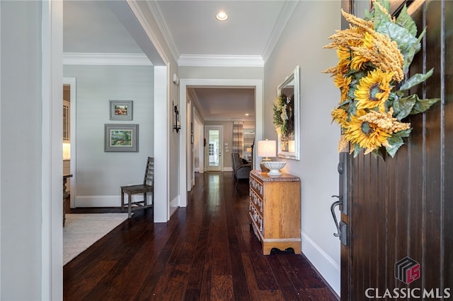 hallway featuring crown molding and dark wood-type flooring