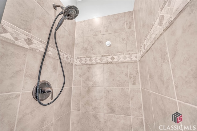 interior details with tiled shower