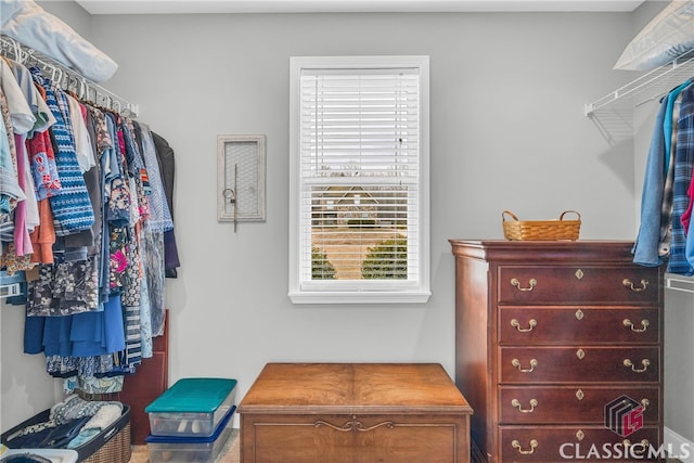 view of spacious closet