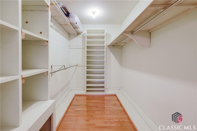 walk in closet featuring hardwood / wood-style floors