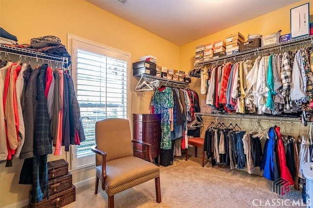 walk in closet featuring carpet flooring