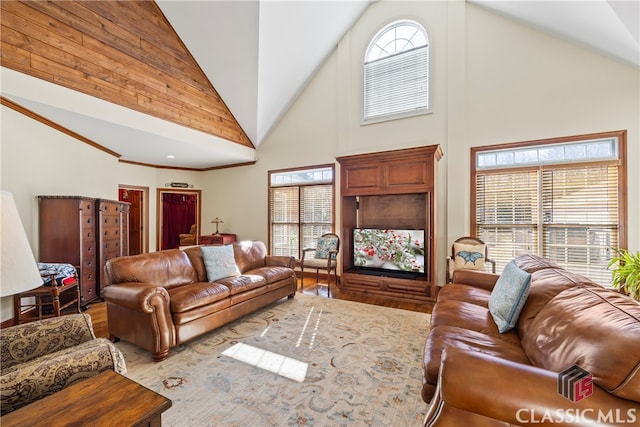 living room featuring high vaulted ceiling, light hardwood / wood-style floors, and a wealth of natural light