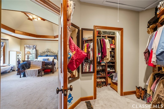 spacious closet with light carpet