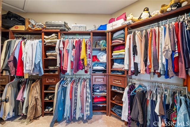 spacious closet with light colored carpet