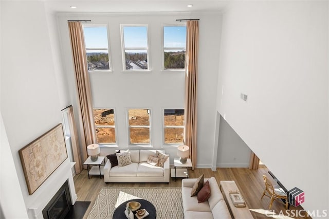 living room featuring a towering ceiling and light hardwood / wood-style flooring