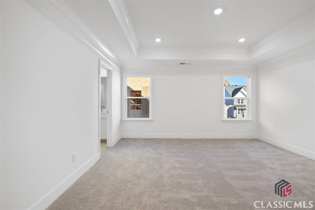 unfurnished room featuring a raised ceiling, crown molding, and a healthy amount of sunlight