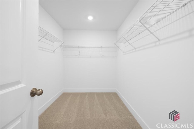 walk in closet with carpet