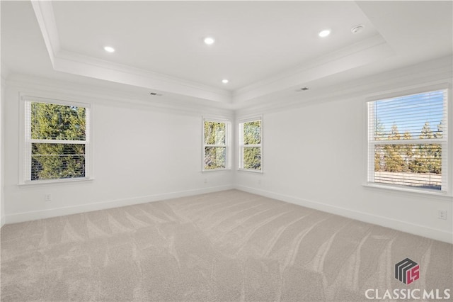 carpeted spare room with ornamental molding and a tray ceiling