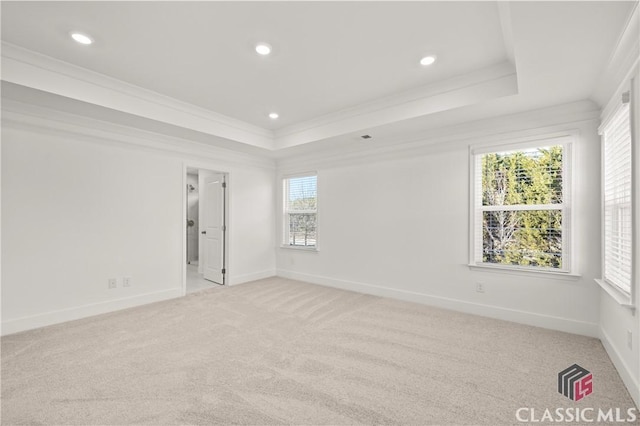 carpeted empty room with crown molding and a tray ceiling