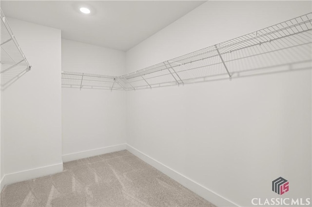 walk in closet with light carpet