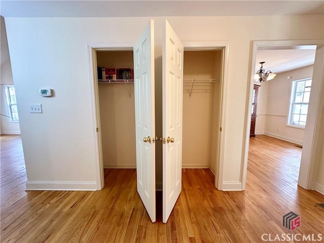 view of closet