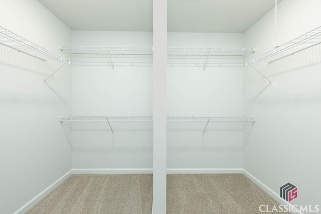 spacious closet with carpet floors