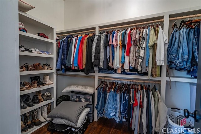 spacious closet with hardwood / wood-style floors