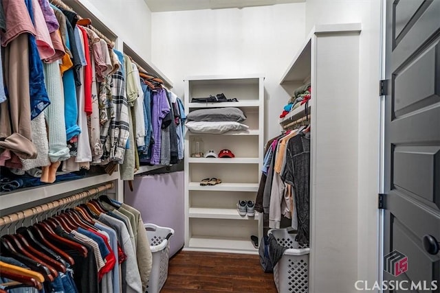 walk in closet featuring dark hardwood / wood-style floors