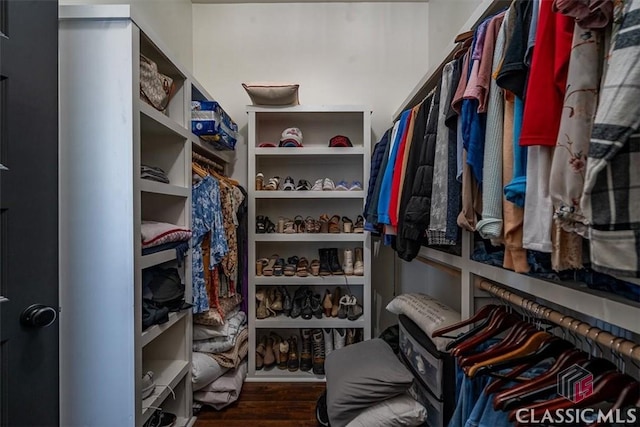 walk in closet with wood-type flooring