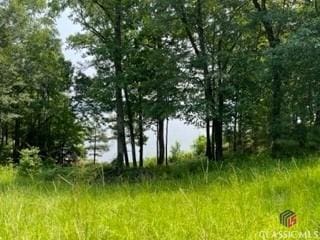 Listing photo 2 for 999 Savannah Ridge Rd, Lincolnton GA 30817