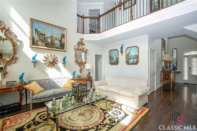 living room featuring dark hardwood / wood-style flooring and a towering ceiling