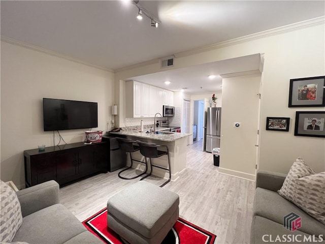 living room featuring sink, light hardwood / wood-style flooring, and ornamental molding