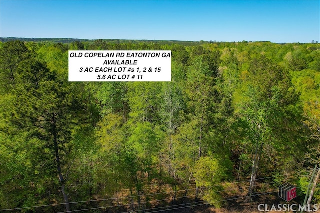 LOT1 Old Copelan Rd, Eatonton GA, 31024 land for sale