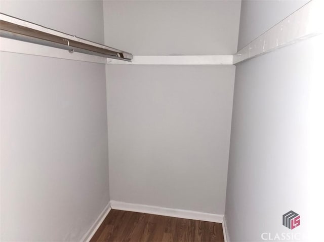 walk in closet with dark hardwood / wood-style flooring