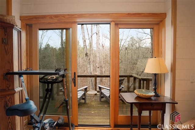 doorway to outside with a wealth of natural light