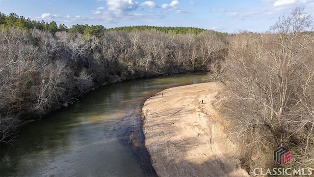 view of water feature with a wooded view