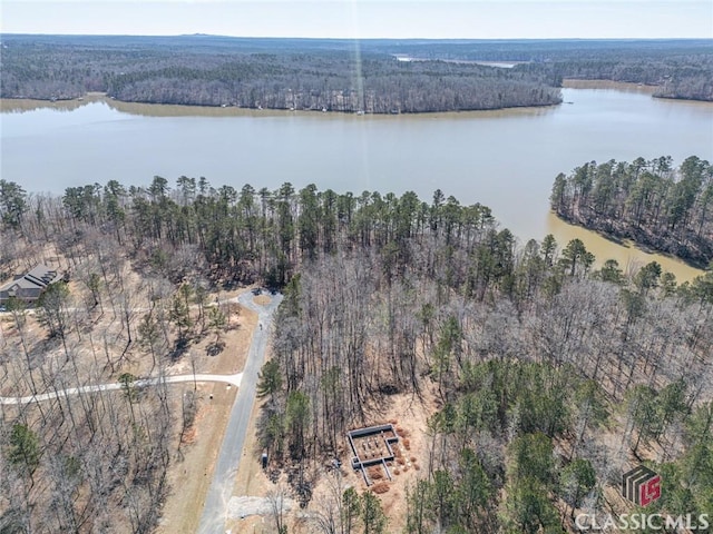 drone / aerial view with a water view and a view of trees