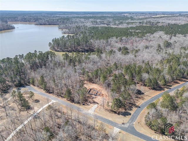 bird's eye view with a water view and a forest view