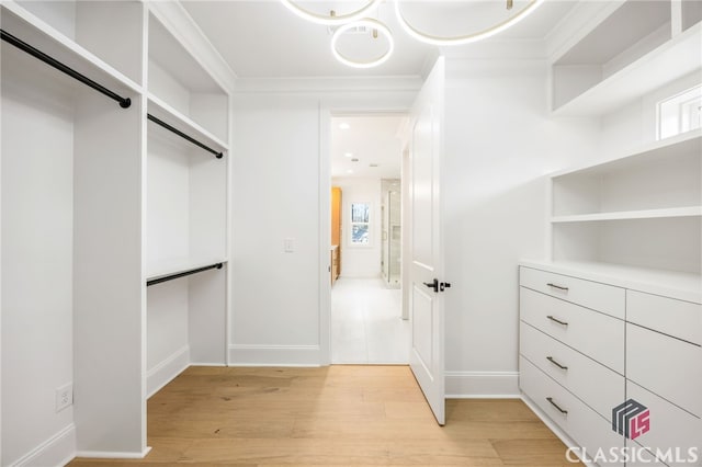 walk in closet with light wood-type flooring