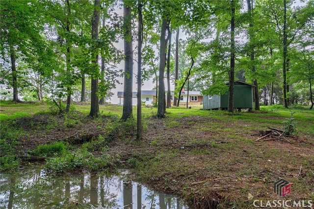 view of yard with a storage unit and a water view