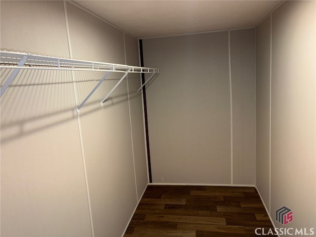 spacious closet featuring wood finished floors