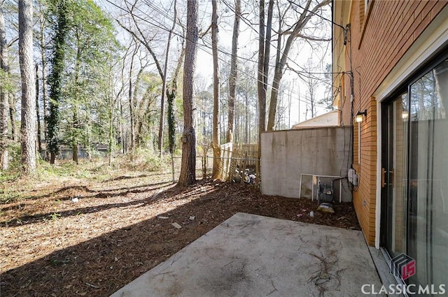 view of yard featuring a patio