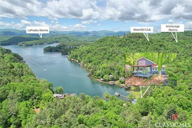 bird's eye view featuring a wooded view and a water and mountain view