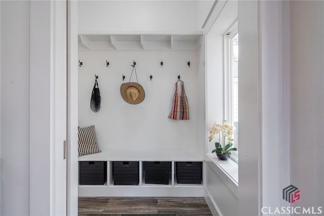 mudroom featuring dark wood-style flooring